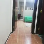 شقق عزاب الملقا